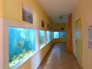 aquario centro visite lesina